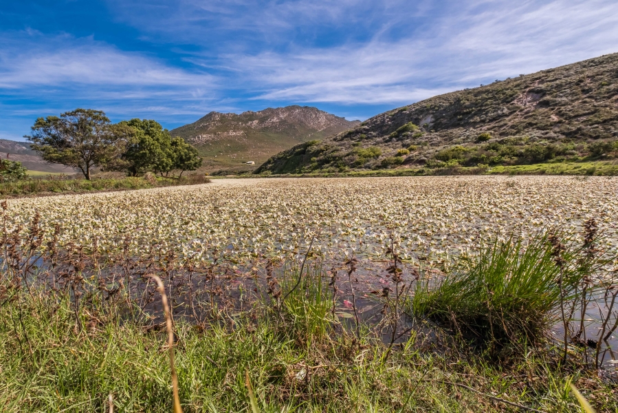 Commercial Property for Sale in Caledon Rural Western Cape